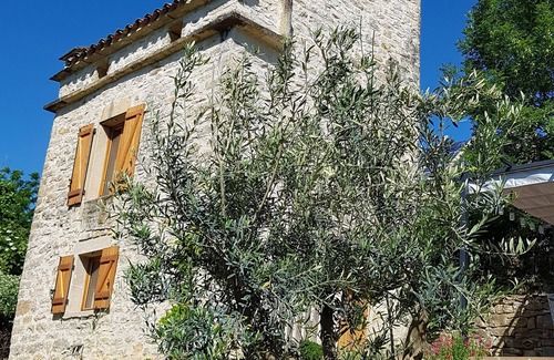 Caylus Casa | Palomar de felinos "calma y naturaleza"