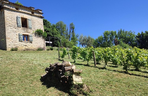 Caylus Casa | Palomar de felinos "calma y naturaleza"