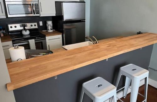 Roanoke Apartamento | Downtown 1st Floor Apt Walk to Breweries Food
