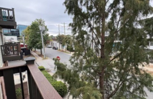 Plaza Midwood Apartamento | Downtown Apartment Plaza Midwood