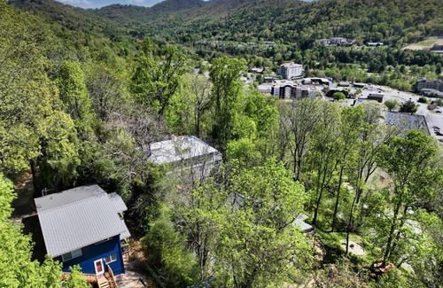 Kenilworth Chalet De Esquí | Downtown Asheville - Zurich Swiss Mountain Chalet