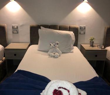 Downtown Cairo Hotel | Downtown Cairo Calma