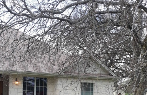 Dripping Springs Casa | Downtown Dripping Springs Bonnie Oasis 4BR 2BA