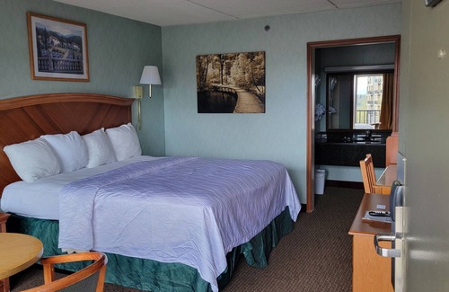 Asheville Hotel | Downtown Inn #1 King Room