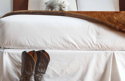 Jackson Hole Hotel | White Buffalo Club - Suite Miller Park Deluxe de 1 habitación