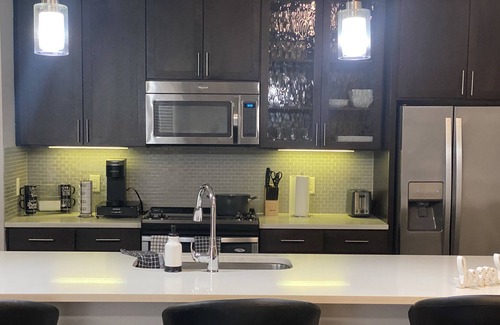 East Downtown Houston Apartamento | Downtown Luxury Two Bedroom Apartment