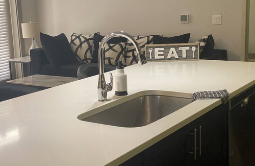East Downtown Houston Apartamento | Downtown Luxury Two Bedroom Apartment