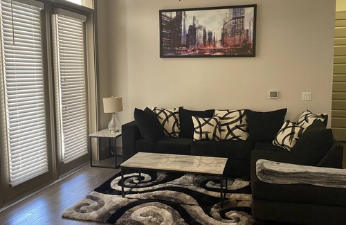 East Downtown Houston Apartamento | Downtown Luxury Two Bedroom Apartment