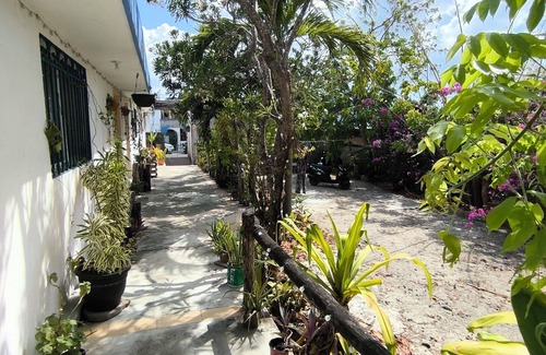 Colonia Adolfo Lopez Mateos Apartamento | Studio located on downtown, calm, confortable & safe