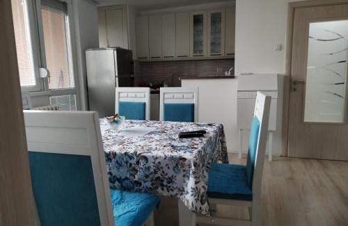 Sabac Apartamento | Downtown penthouse Šabac