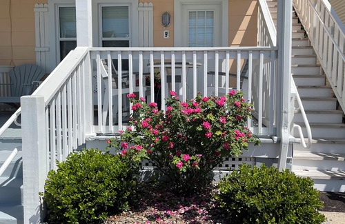 Ocean City Condominio | 🏖️ Downtown 🐶 Pet Friendly 🐳 2 Bedroom 🐬 Pool 🐚 WiFi 🦞 Beach - 2 blocks