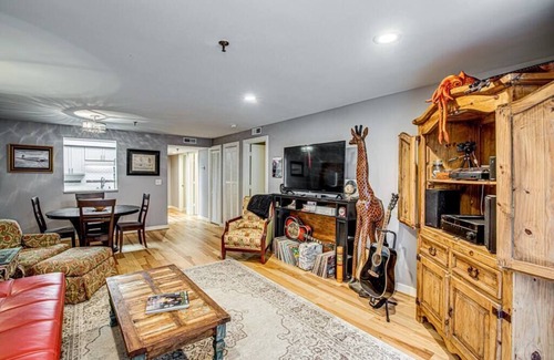 Winston - Salem Apartamento | Downtown Winston-Salem! The Frequent Flyer!