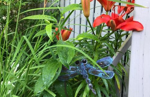 Ogunquit Casa | Dragonfly Guest House