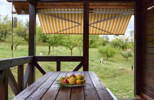 Viperesti Casa | Dream House - Buzau Valley