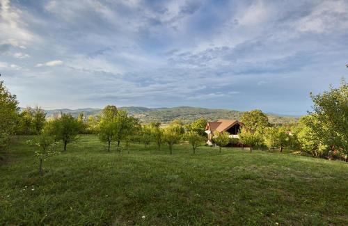 Viperesti Casa | Dream House - Buzau Valley