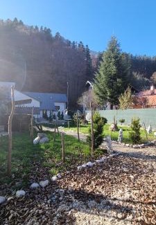 Busteni Casa | Dream House