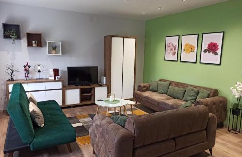 Vrsac Apartamento | Dream House