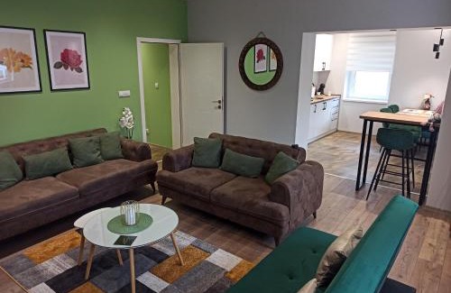 Vrsac Apartamento | Dream House