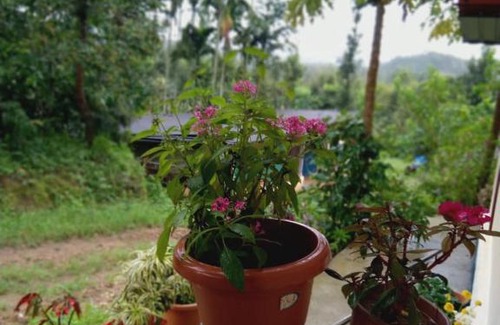 Sakleshpur Casa | Dreamwood FarmStay