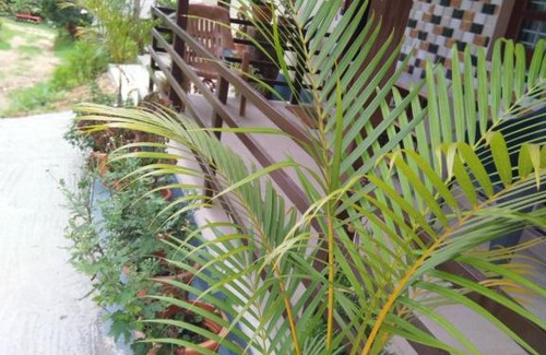 Sakleshpur Casa | Dreamwood FarmStay