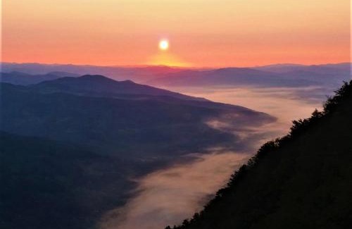 Tara National Park Apartamento | Dren - Banjska stena
