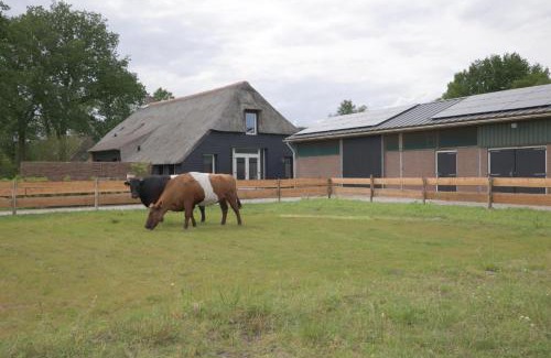 Benneveld Apartamento | Drents moment
