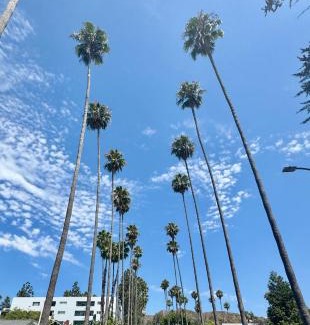 Hollywood Cama Y Desayuno | Dresden B & B