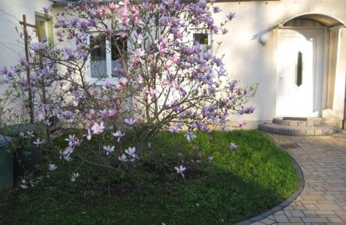 Leubnitz-Neuostra Casa | Dresden, Ferienhaus Strietzel