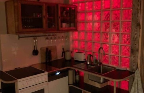 Loschwitz Apartamento | Dresden: Studio apartment near the Elbe with garden and workshop sauna