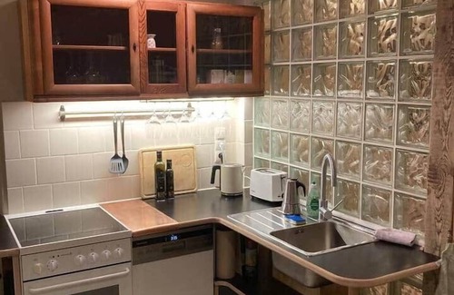 Loschwitz Apartamento | Dresden: Studio apartment near the Elbe with garden and workshop sauna