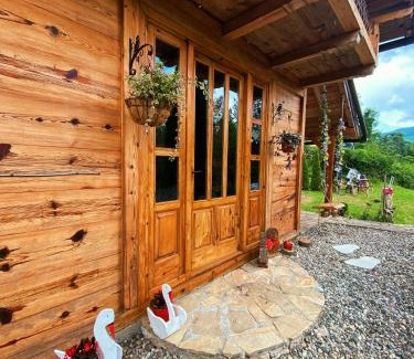Perucac Casa | Drinska Villa Cabin