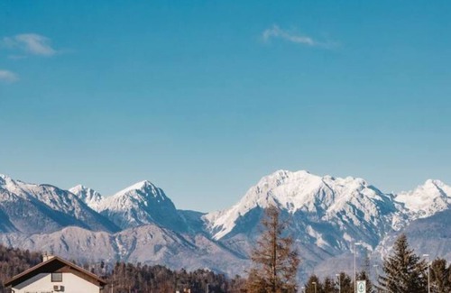 Praprotna Polica Apartamento | Drive Caffe apartment 1