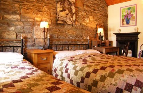 Pairc Na Gloine Cama Y Desayuno | Druid Cottage
