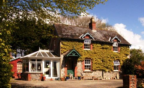 Pairc Na Gloine Cama Y Desayuno | Druid Cottage