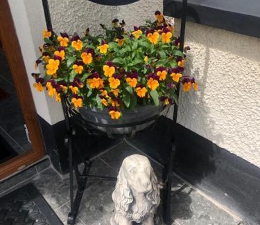 Enniskillen Cama Y Desayuno | Drumcoo Guest House