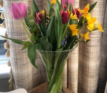Enniskillen Cama Y Desayuno | Drumcoo Guest House