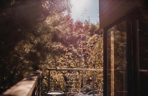 Rewal Casa | DRZEWOstan