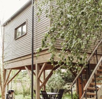 Rewal Casa | DRZEWOstan