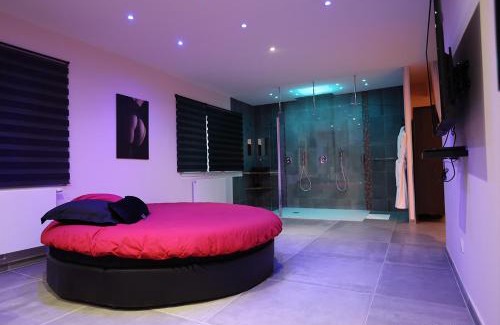 Plateau de Haye Cama Y Desayuno | Ds Plaisir Love Room avec sauna, jacuzzi à Nancy