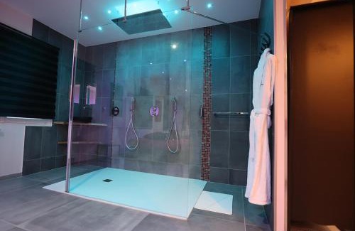 Plateau de Haye Cama Y Desayuno | Ds Plaisir Love Room avec sauna, jacuzzi à Nancy