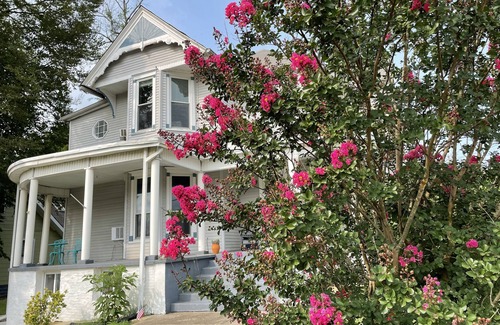 Clarksville Apartamento | ❤DT Victorian Apt A❤ 3br~2ba~King~Walk to DT❤