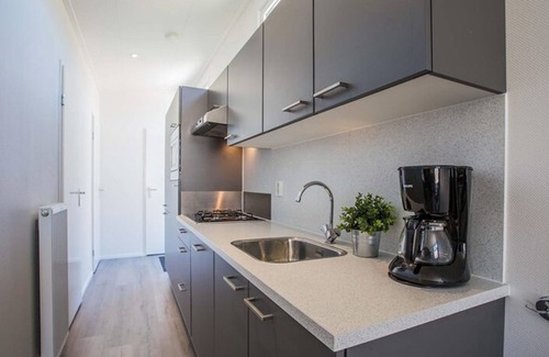 Municipality of Noordwijk Casa | Duinlodge 4+2 by Interhome