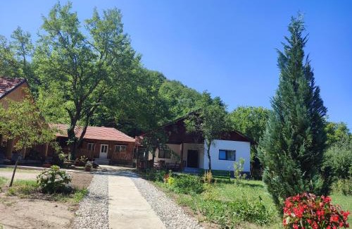 Pesteana Casa | Dumbrava Minunată