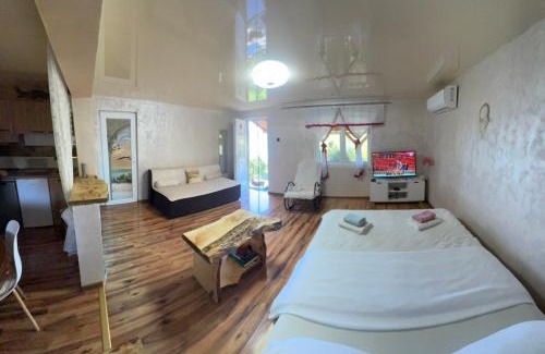 Donji Milanovac Apartamento | Dunavski raj