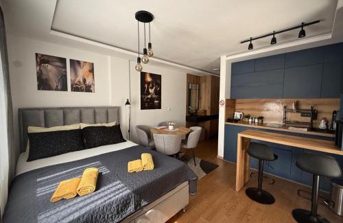 Vrnjacka Banja Apartamento | DUNjA Apartman