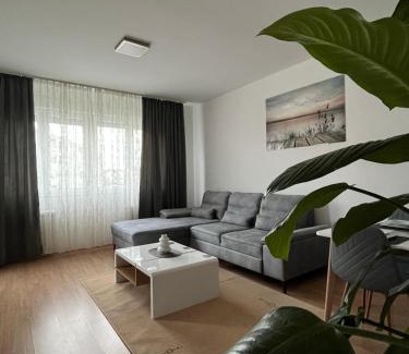Veternik Apartamento | Dunja House