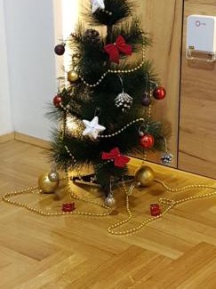 Valjevo Apartamento | Dunja