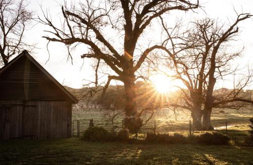 Molyullah Casa | Dunmore Farm