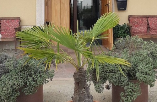 Palacios de la Valduerna Apartamento | Duplex/apart. en el Tramo de La Via de la Plata Entre Astorga y La Bañeza