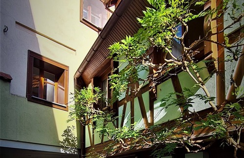 Obernai Apartamento | Duplex au Centre Avec Parking - L'étoile